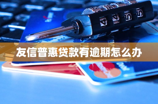 友信普惠贷款有逾期怎么办