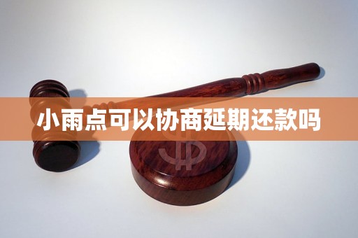 小雨点可以协商延期还款吗