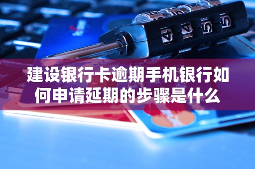 建设银行卡逾期手机银行如何申请延期的步骤是什么