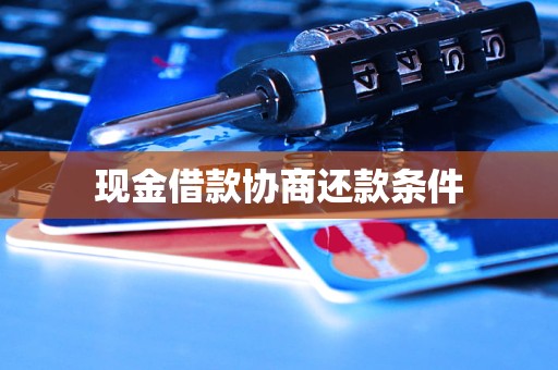 现金借款协商还款条件