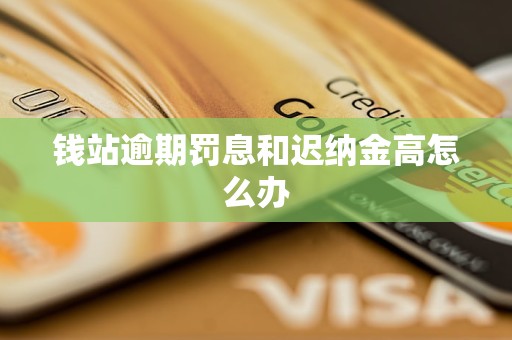 钱站逾期罚息和迟纳金高怎么办