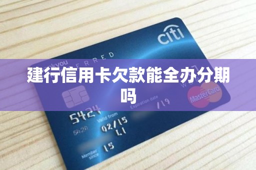 建行信用卡欠款能全办分期吗