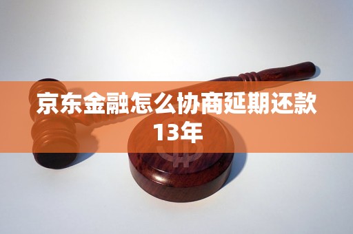京东金融怎么协商延期还款13年
