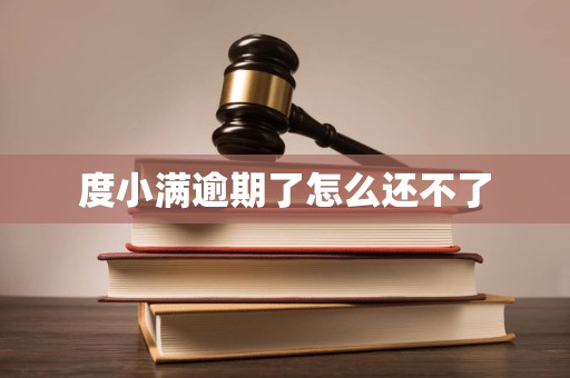 度小满逾期了怎么还不了