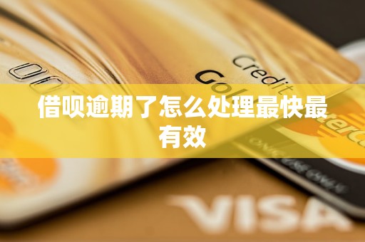 借呗逾期了怎么处理最快最有效