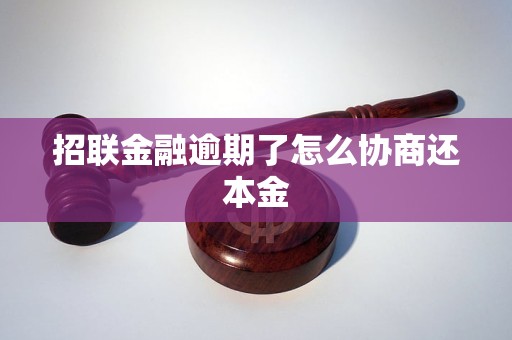 招联金融逾期了怎么协商还本金