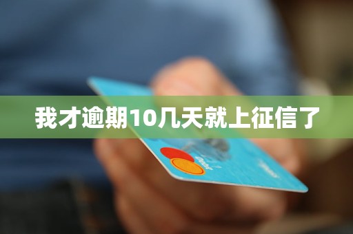 我才逾期10几天就上征信了