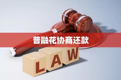 普融花协商还款