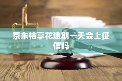 京东桔享花逾期一天会上征信吗