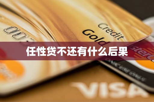 任性贷不还有什么后果