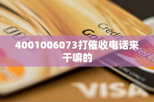 4001006073打催收电话来干嘛的