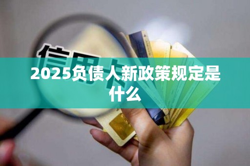 2025负债人新政策规定是什么