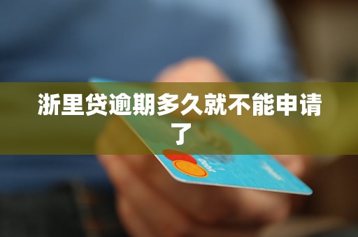 浙里贷逾期多久就不能申请了