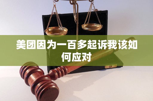 美团因为一百多起诉我该如何应对