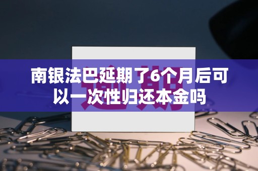 南银法巴延期了6个月后可以一次性归还本金吗