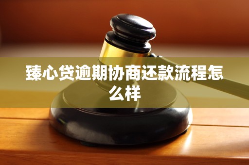 臻心贷逾期协商还款流程怎么样