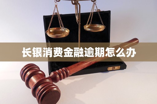 长银消费金融逾期怎么办