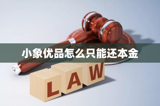 小象优品怎么只能还本金