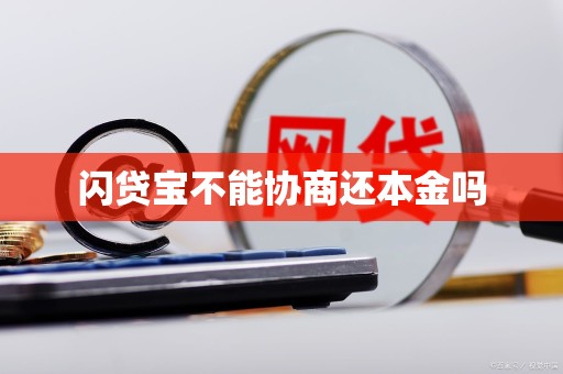 闪贷宝不能协商还本金吗