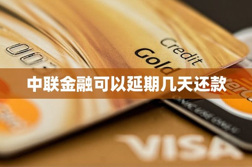 中联金融可以延期几天还款