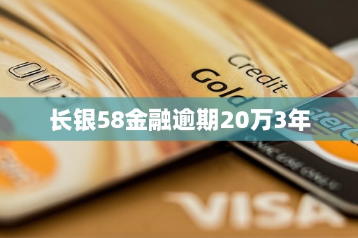 长银58金融逾期20万3年