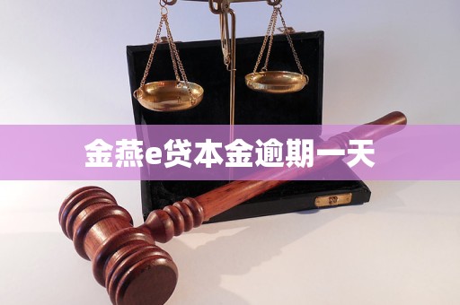 金燕e贷本金逾期一天