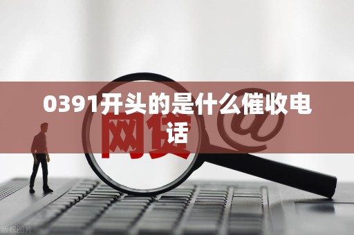 0391开头的是什么催收电话