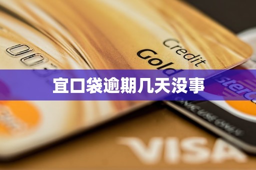 宜口袋逾期几天没事