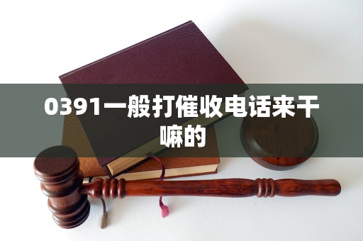 0391一般打催收电话来干嘛的