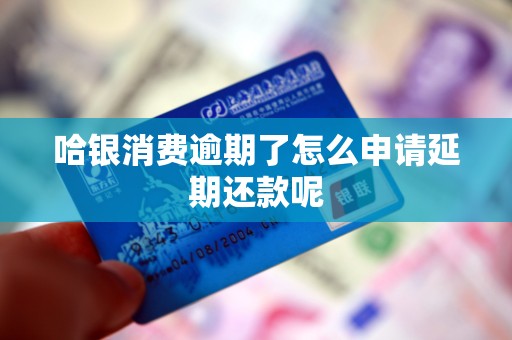 哈银消费逾期了怎么申请延期还款呢