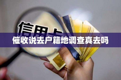催收说去户籍地调查真去吗