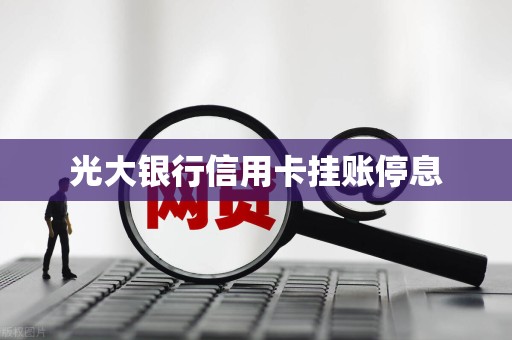 光大银行信用卡挂账停息