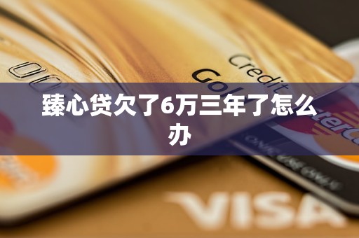 臻心贷欠了6万三年了怎么办