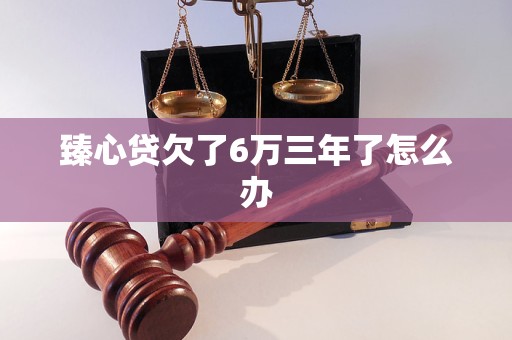 臻心贷欠了6万三年了怎么办