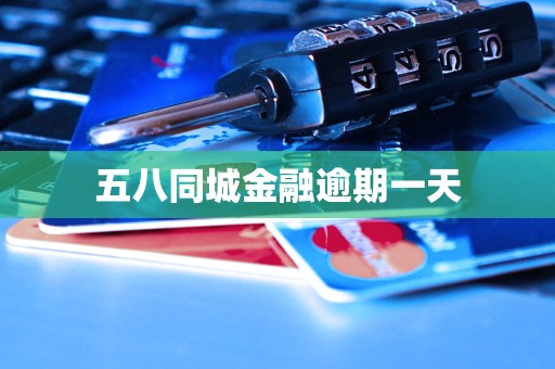 五八同城金融逾期一天