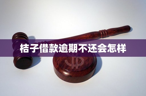 桔子借款逾期不还会怎样