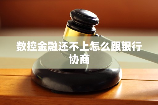数控金融还不上怎么跟银行协商