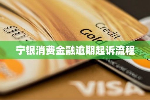 宁银消费金融逾期起诉流程