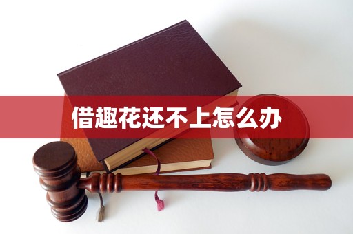 借趣花还不上怎么办