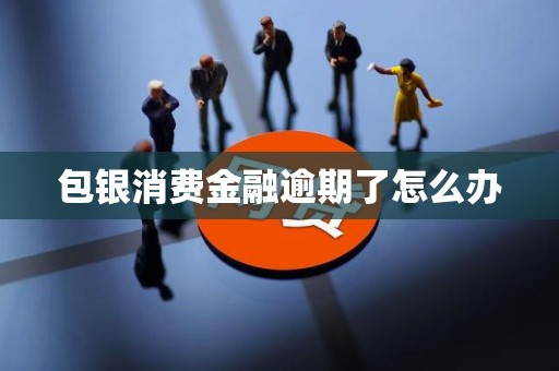 包银消费金融逾期了怎么办