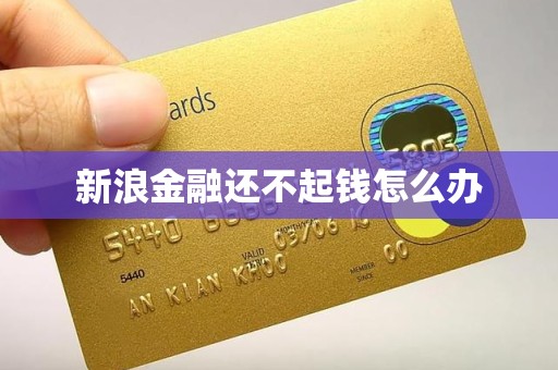 新浪金融还不起钱怎么办