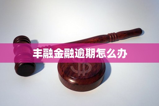 丰融金融逾期怎么办