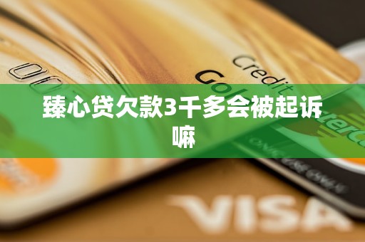 臻心贷欠款3千多会被起诉嘛